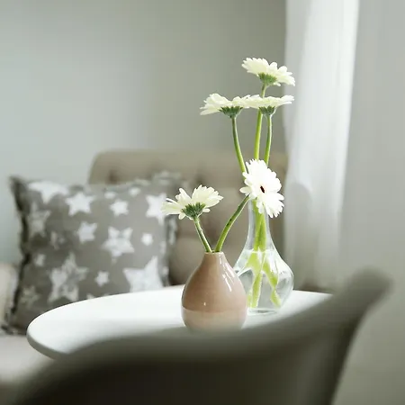 Picabella - En Atelier 3* Laren