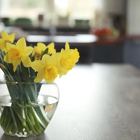 Picabella - En Atelier 3* Laren