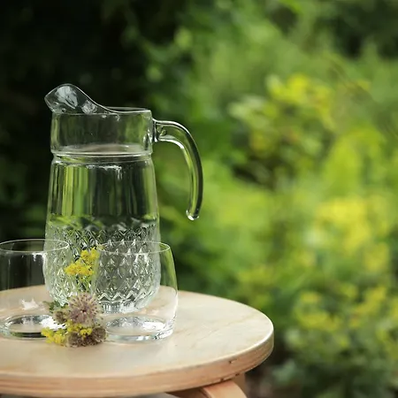 Picabella - En Atelier 3* Laren