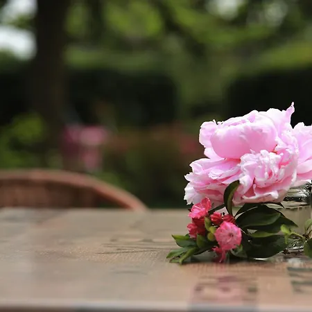 Picabella - En Atelier * Laren (Gelderland)