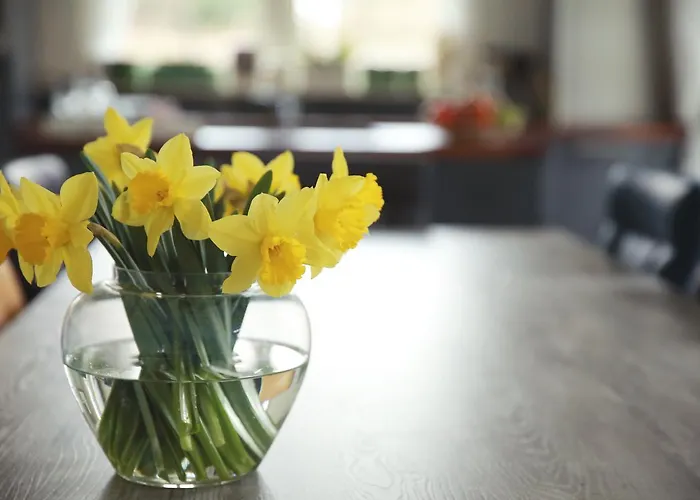 Picabella - En Atelier 3* Laren (Gelderland)