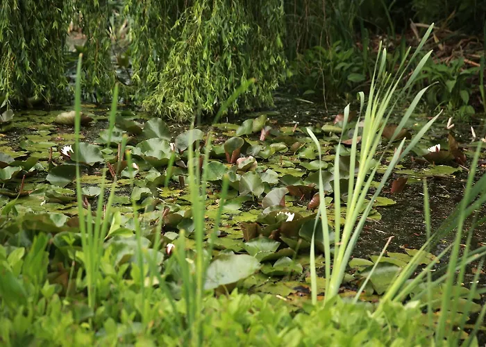 Bed and breakfast Picabella - En Atelier 3*