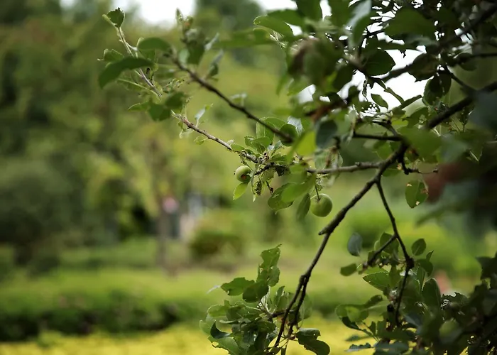 Bed and breakfast Picabella - En Atelier 3*