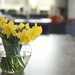 Picabella - En Atelier 3* Laren (Gelderland)